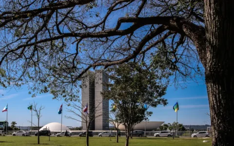 Congresso aumenta punição a crimes sexuais online contra crianças