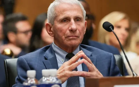 Anthony Fauci permanece em silêncio durante audiência no Senado dos EUA e volta ao centro do debate sobre a origem da Covid-19