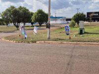 Empresários questionam bandeiras políticas em canteiros de Rolim de Moura