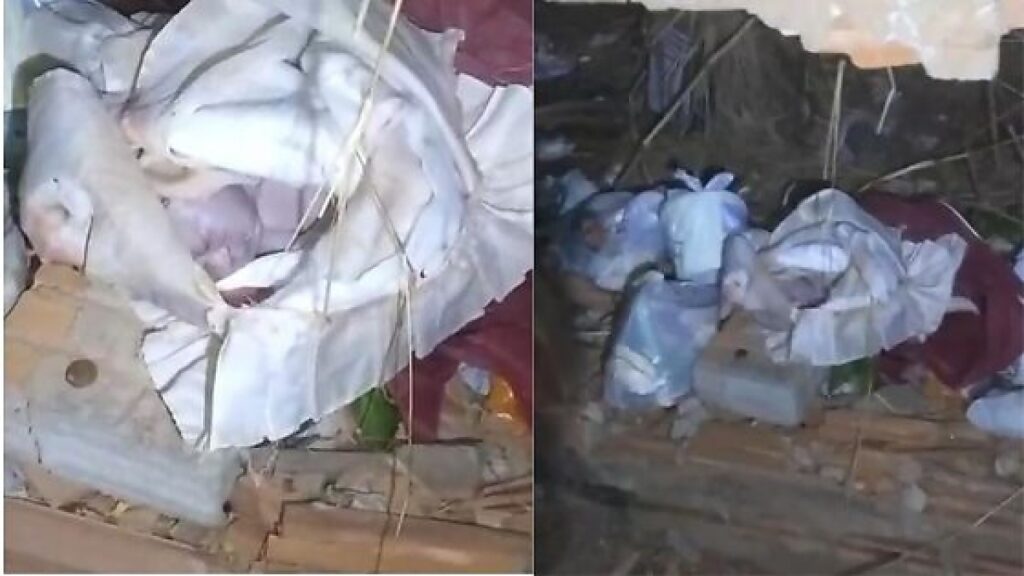Recém-nascida é encontrada morta dentro de sacola em terreno baldio em Cuiabá