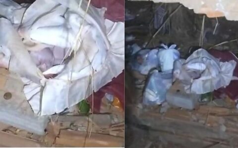 Recém-nascida é encontrada morta dentro de sacola em terreno baldio em Cuiabá
