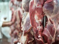 UE suspende importações de carnes do Brasil e setor busca alternativas