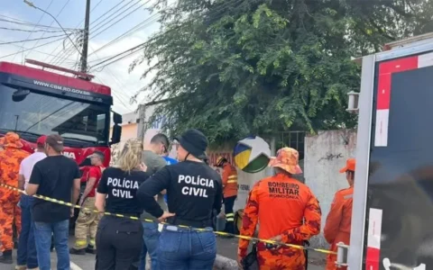 Desaparecido é encontrado morto em cima de pé de tamarindo em RO