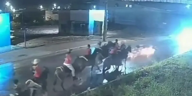 Vídeo: motociclista tenta desviar de cavalos e morre após bater de frente com carro em RO