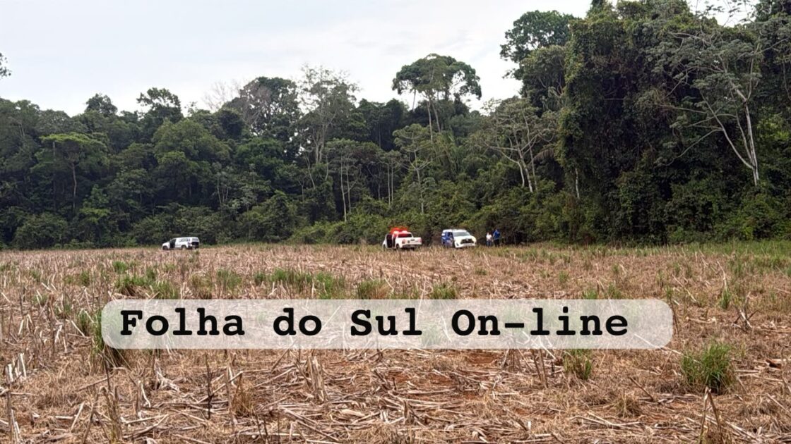Corpo mumificado é encontrado em lavoura de milho nas proximidades de Vilhena