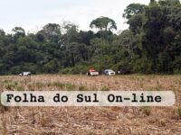 Corpo mumificado é encontrado em lavoura de milho nas proximidades de Vilhena