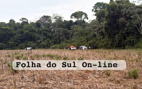 Corpo mumificado é encontrado em lavoura de milho nas proximidades de Vilhena