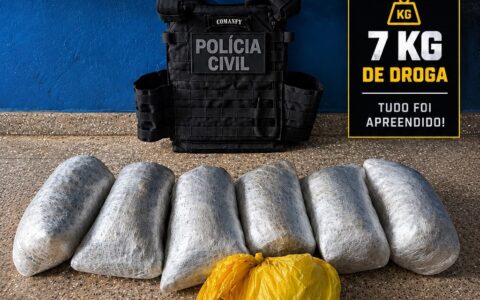 Polícia Civil apreende 6,8 kg de maconha e prende quatro suspeitos em Vilhena e Cerejeiras